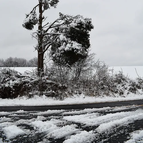 Snow 2015 County