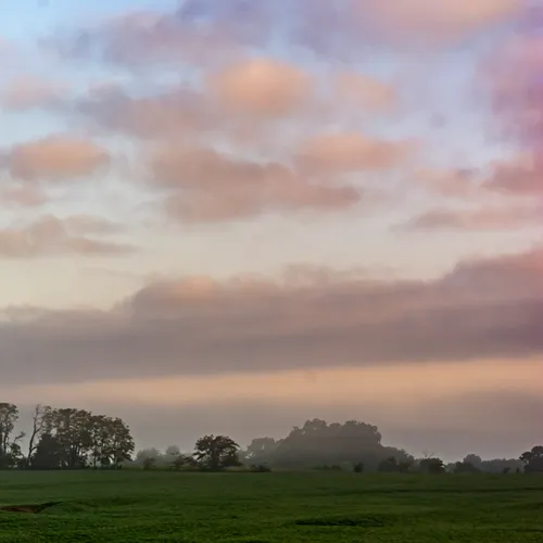 Sunrise Openfield 1