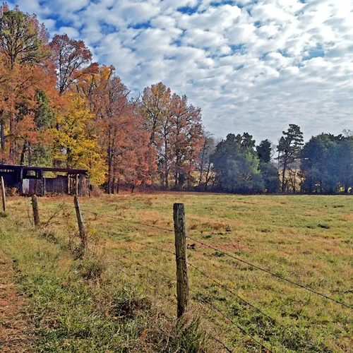 Poteat Road 4