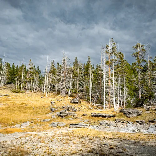 Yellowstone 10