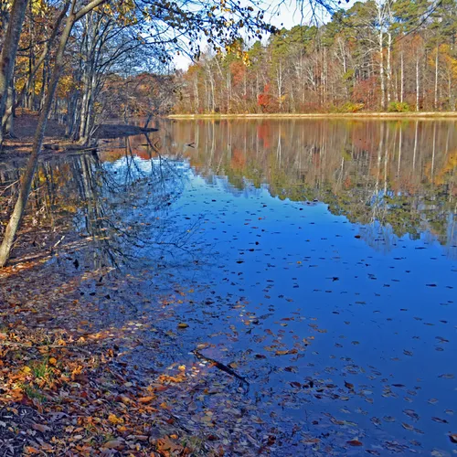 Landis Lake 3