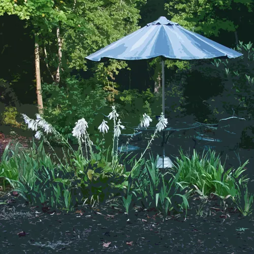 Umbrella