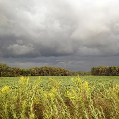 Storm Front 3