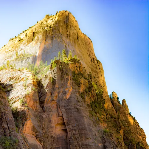 Zion 32