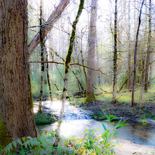 Cadescove 8