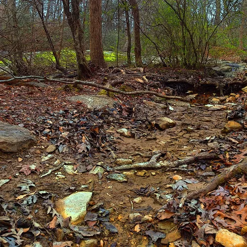Uwharrie dry creek
