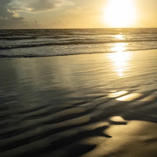 Nsb 29