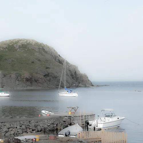 Twillingate 54