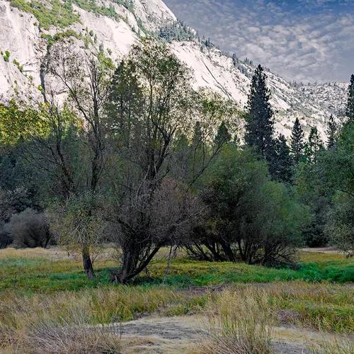 Yosemite 60