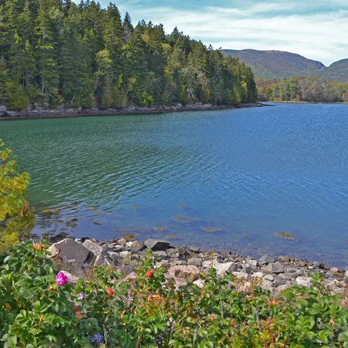 Acadia Shore 6