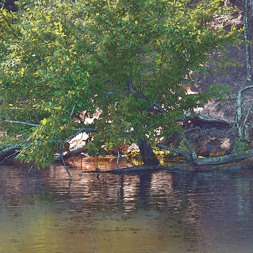 Yadkin-Peedee 34