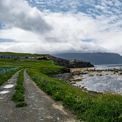Newfoundlandport 13