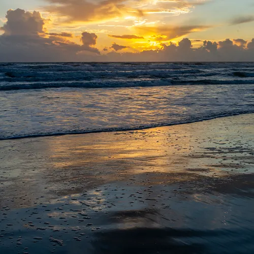 Nsb 11