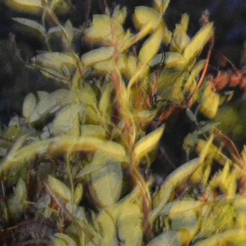 Leaves Pastel