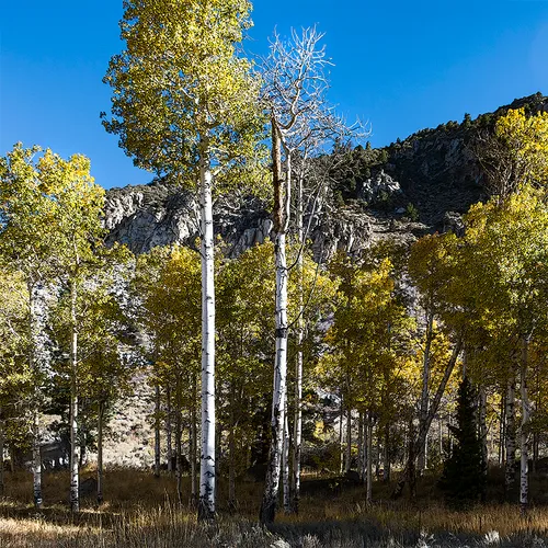 Yosemite 4