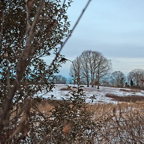 Snow 2014 1
