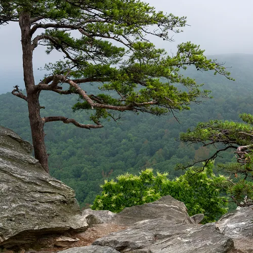 Hangingrock 1