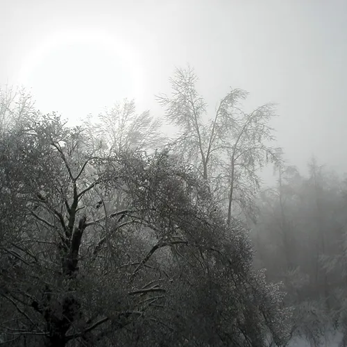 Ice Storm 2