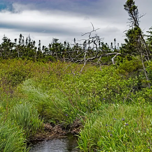 Westernbrookhike 2