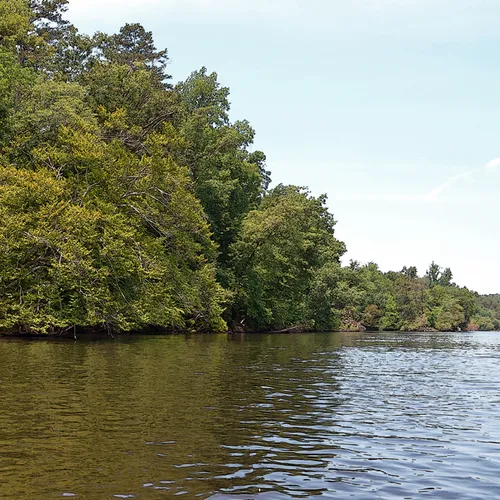 Yadkin-Peedee 10