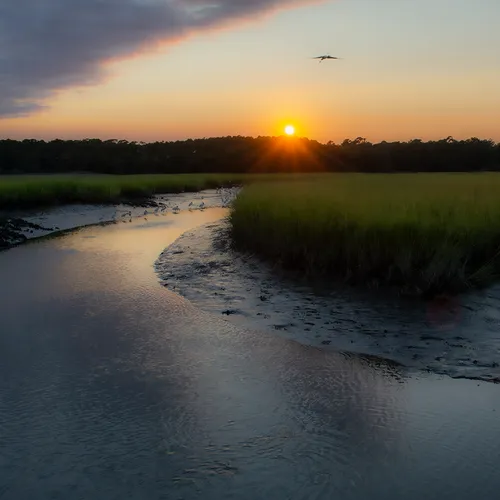 Sunsethbsp 12