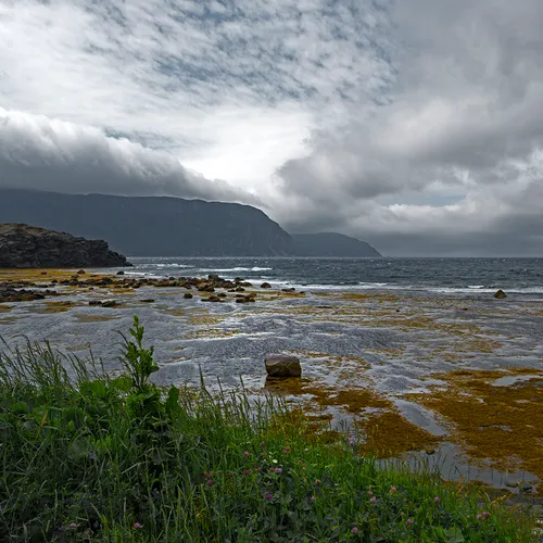 Newfoundlandport 12