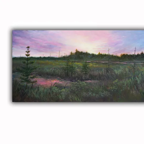 Florida Swamp 2