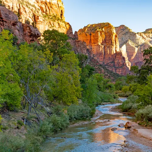Zion 2020 1