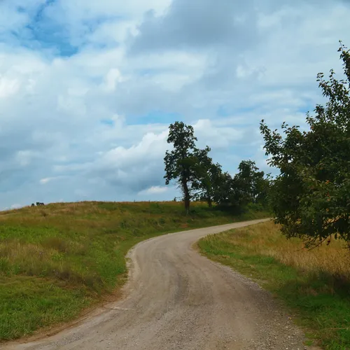 BRP road