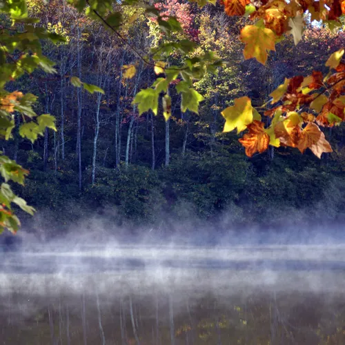 Lake Fall 10