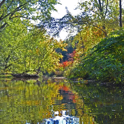 Kayak 2