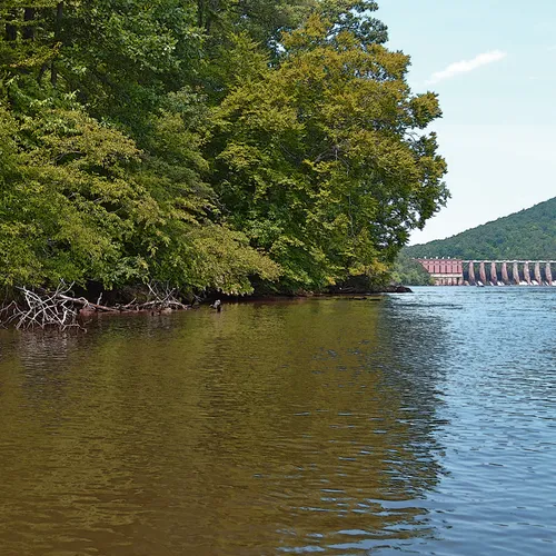 Yadkin-Peedee 5