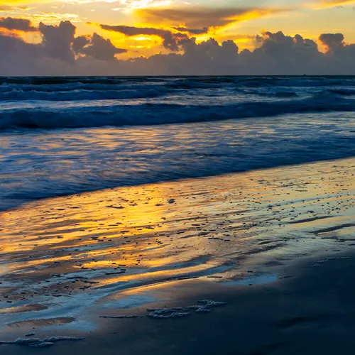 Nsb 5