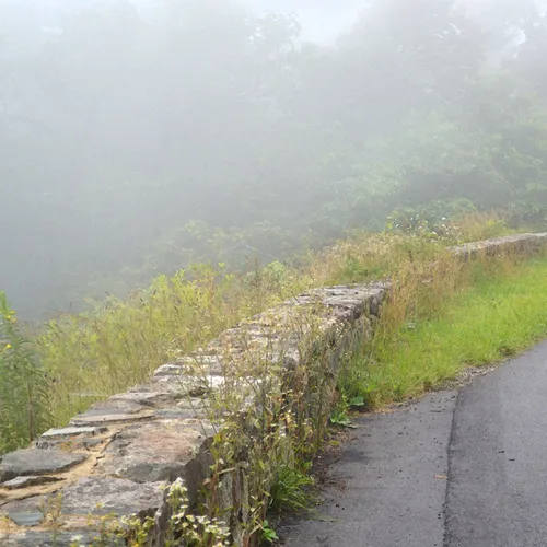 Wall