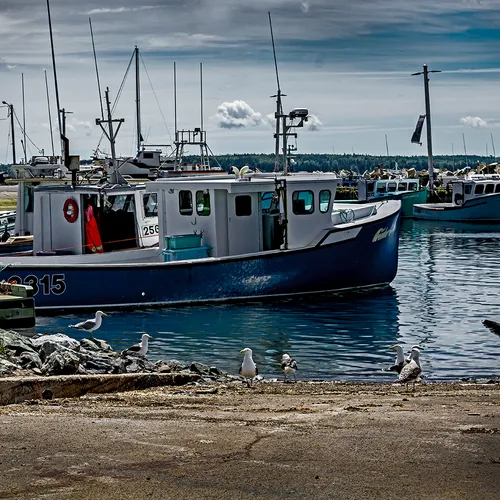 Northsidneyns 1