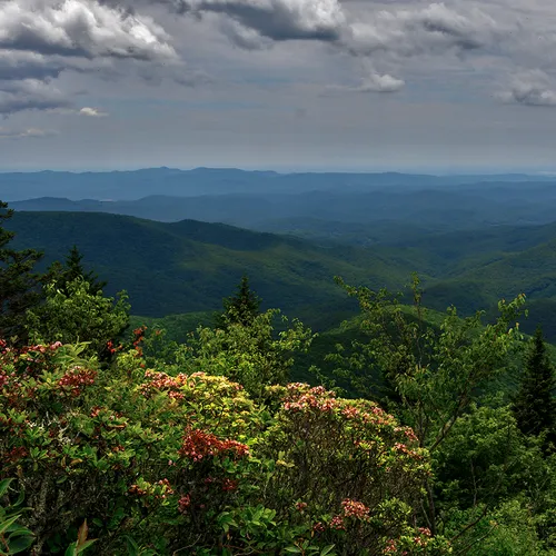 Parkway 1