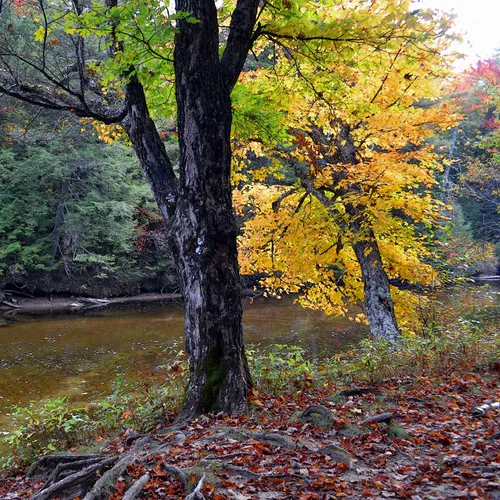 Swift River 1